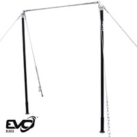 High Bar ~ Evo